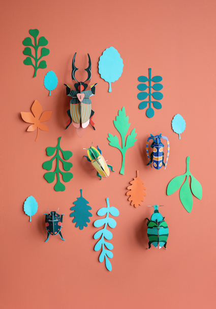 BEETLE ANTIQUARY Wall of Curiosities