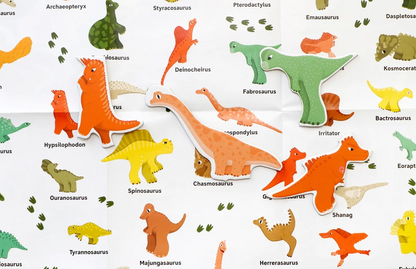 49 Dinos und ein Asteroid